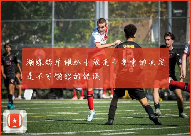 湖媒怒斥佩林卡放走卡鲁索的决定是不可饶恕的错误